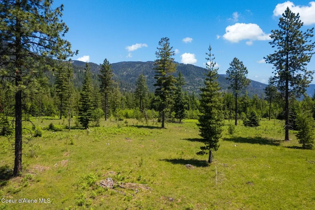 Nna 60 Acres Tahoe Drive Hope ID 83836