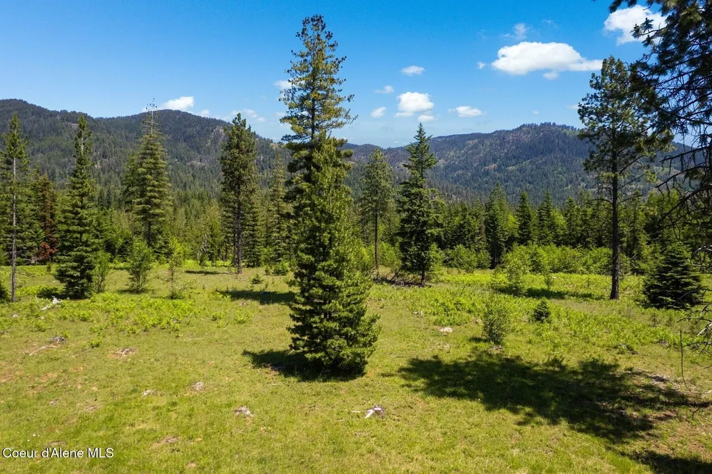 Nna 60 Acres Tahoe Drive Hope ID 83836
