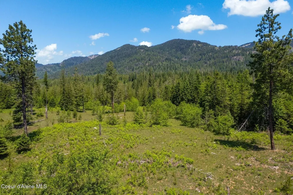 Nna 60 Acres Tahoe Drive Hope ID 83836