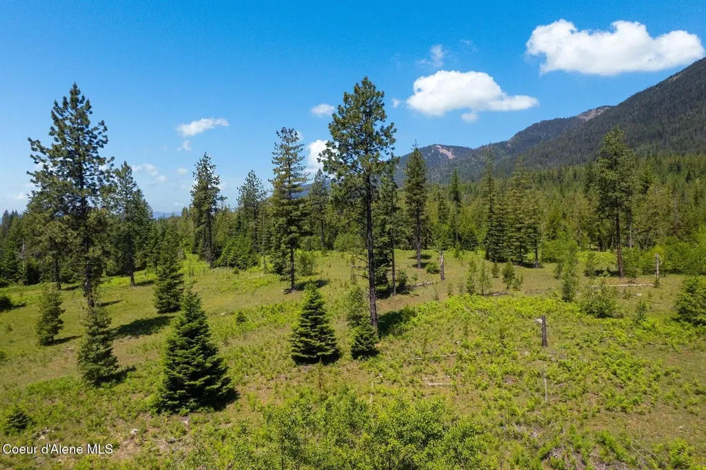 Nna 60 Acres Tahoe Drive Hope ID 83836