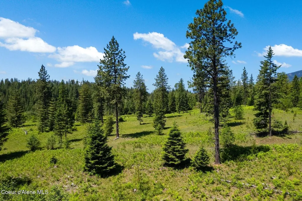 Nna 60 Acres Tahoe Drive Hope ID 83836