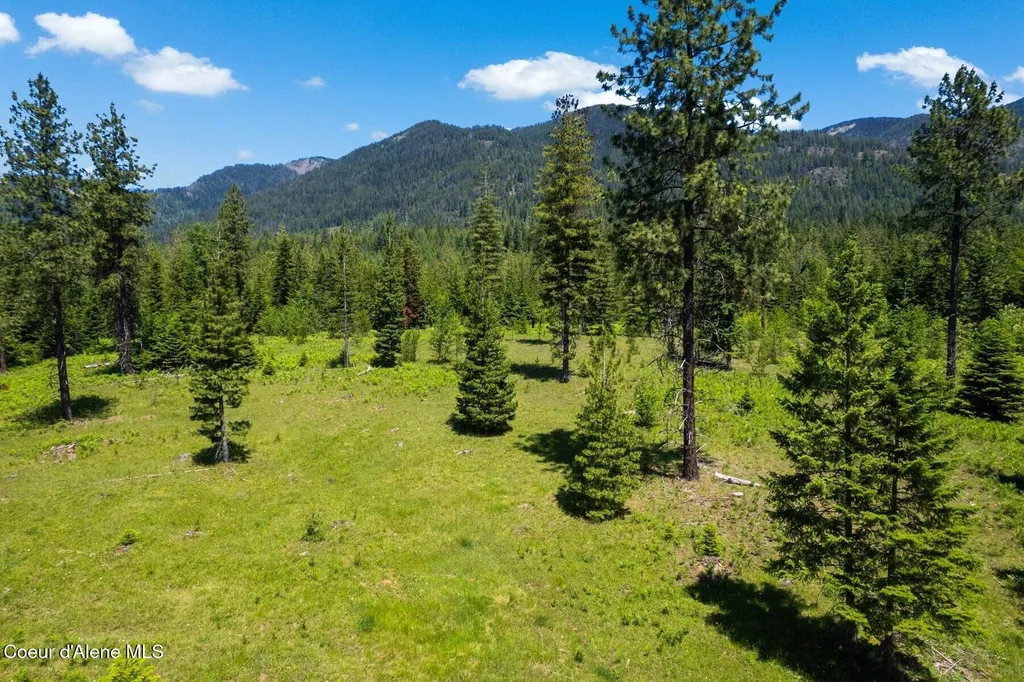 Nna 60 Acres Tahoe Drive Hope ID 83836
