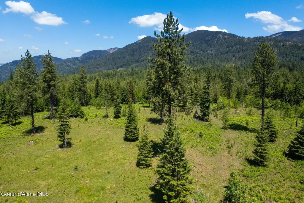 Nna 60 Acres Tahoe Drive Hope ID 83836