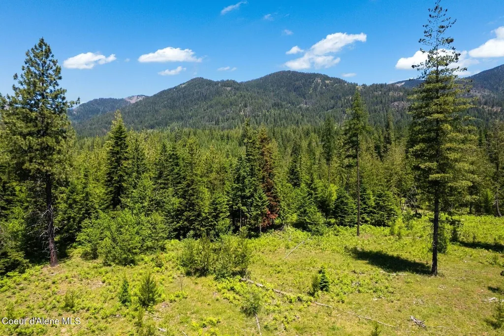 Nna 60 Acres Tahoe Drive Hope ID 83836