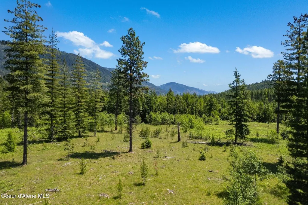 Nna 60 Acres Tahoe Drive Hope ID 83836