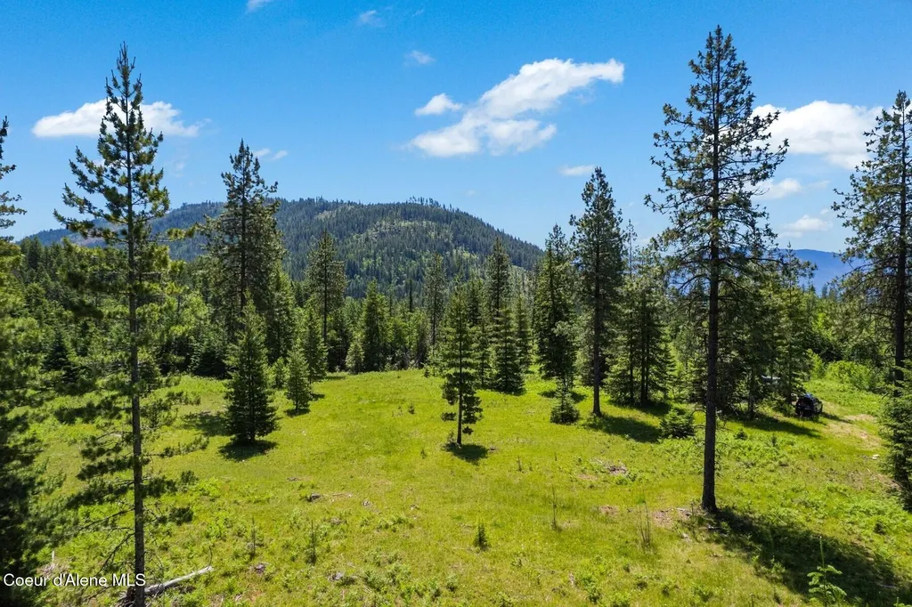 Nna 60 Acres Tahoe Drive Hope ID 83836