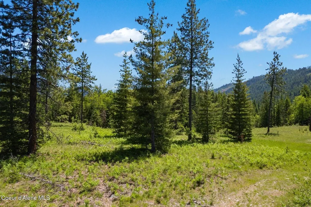 Nna 60 Acres Tahoe Drive Hope ID 83836