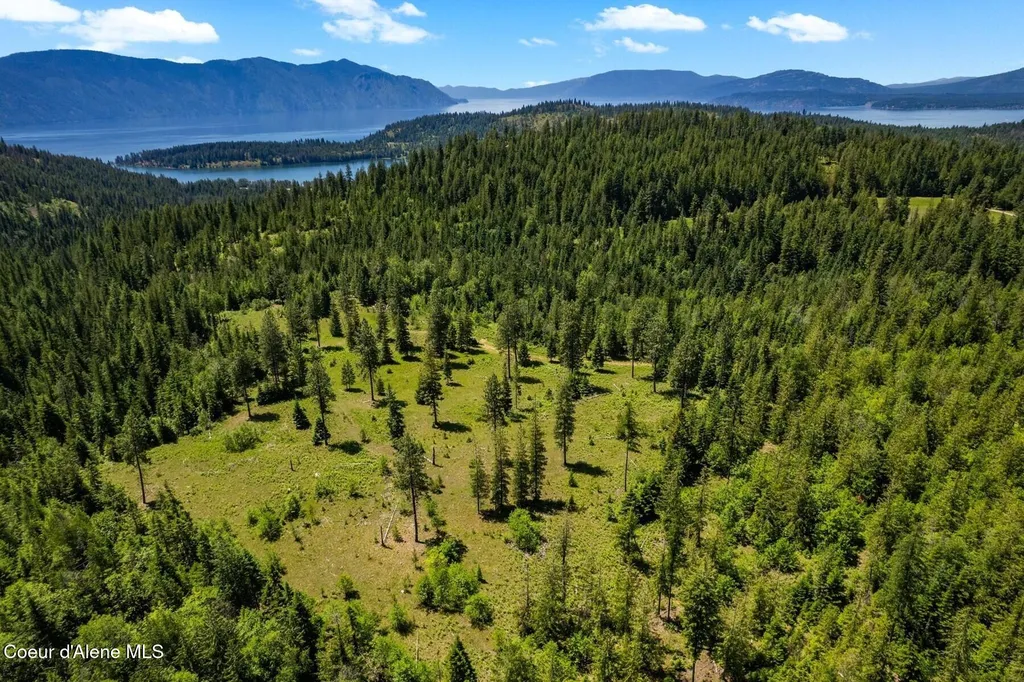 Nna 60 Acres Tahoe Drive Hope ID 83836