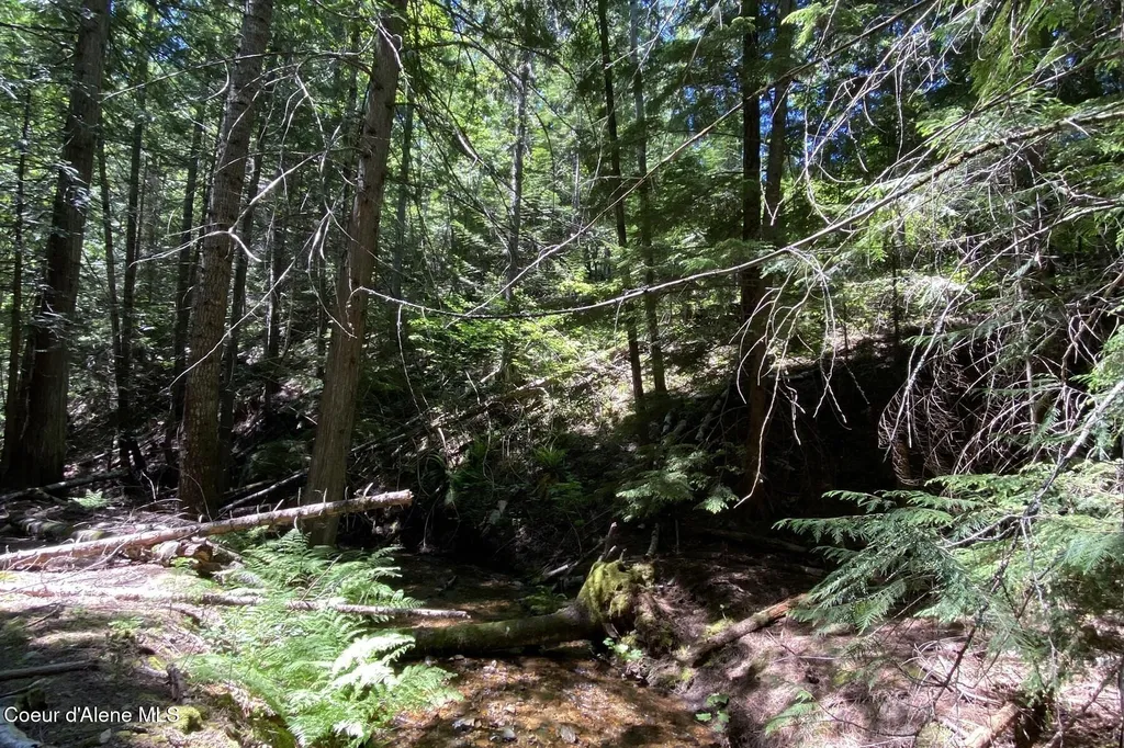 Nna 60 Acres Tahoe Drive Hope ID 83836