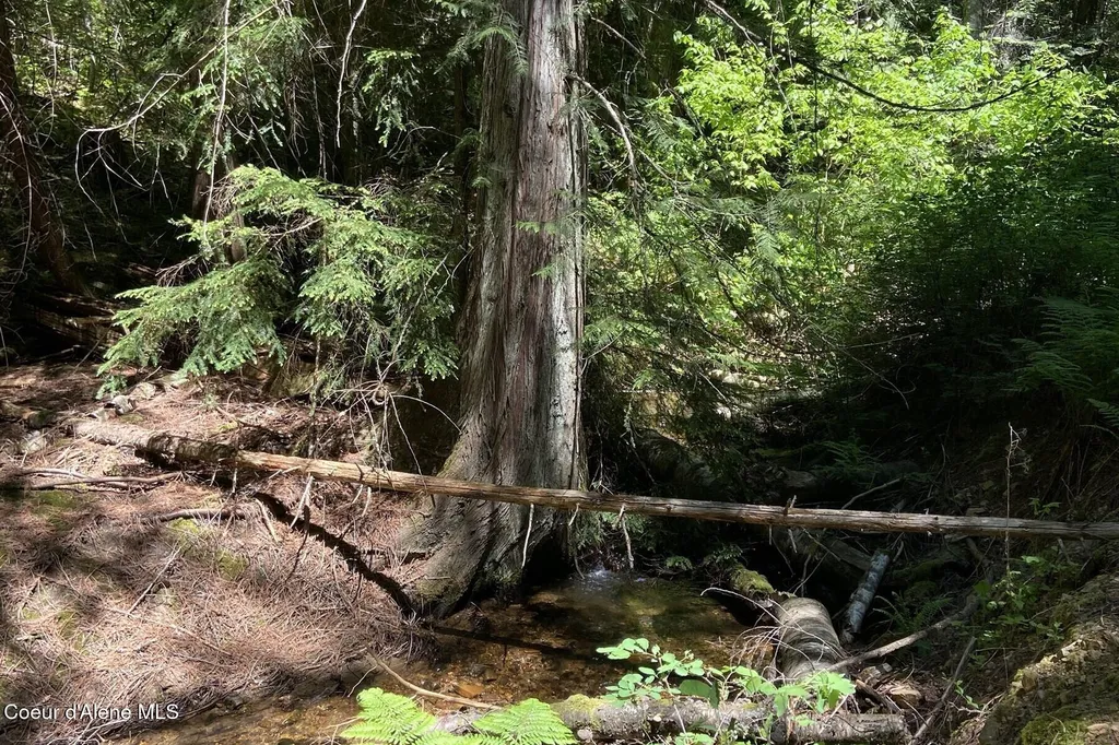 Nna 60 Acres Tahoe Drive Hope ID 83836
