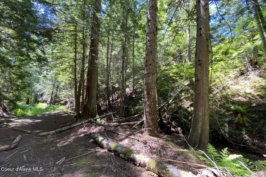 Nna 60 Acres Tahoe Drive Hope ID 83836