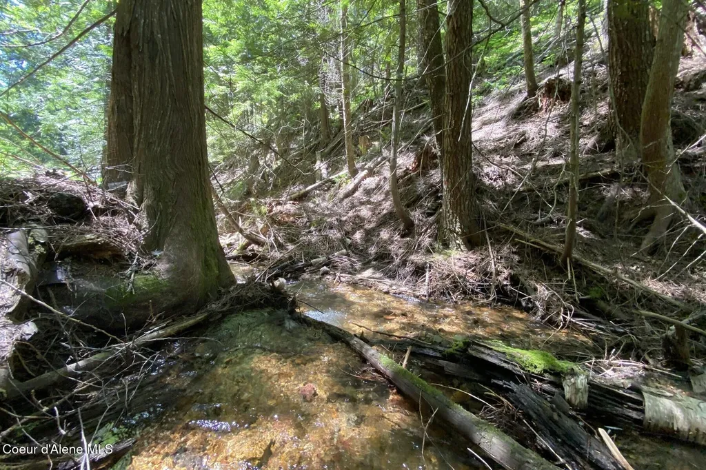 Nna 60 Acres Tahoe Drive Hope ID 83836
