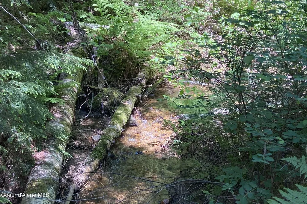 Nna 60 Acres Tahoe Drive Hope ID 83836