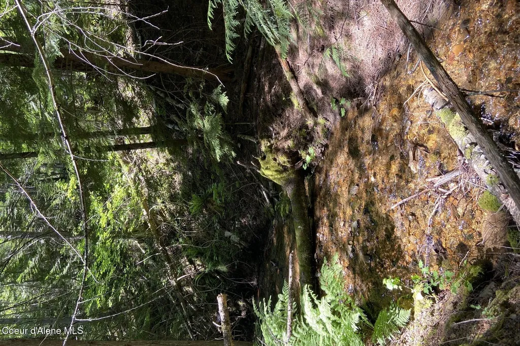 Nna 60 Acres Tahoe Drive Hope ID 83836