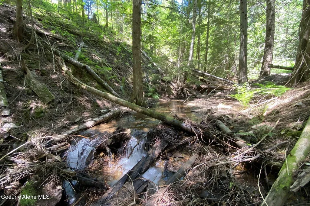 Nna 60 Acres Tahoe Drive Hope ID 83836