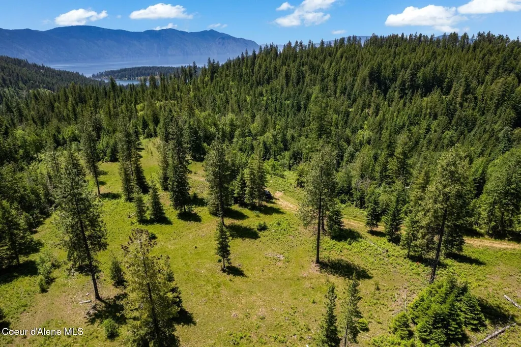 Nna 60 Acres Tahoe Drive Hope ID 83836