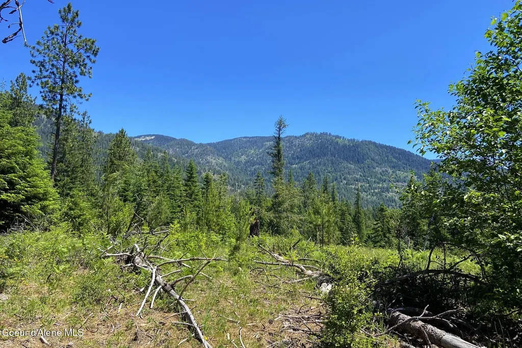 Nna 60 Acres Tahoe Drive Hope ID 83836