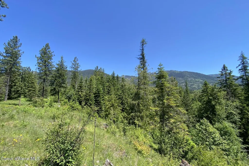Nna 60 Acres Tahoe Drive Hope ID 83836