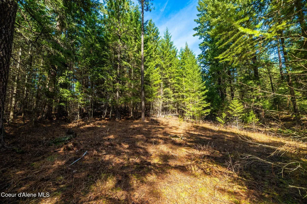 13168 N Clauson Trail Rathdrum ID 83858