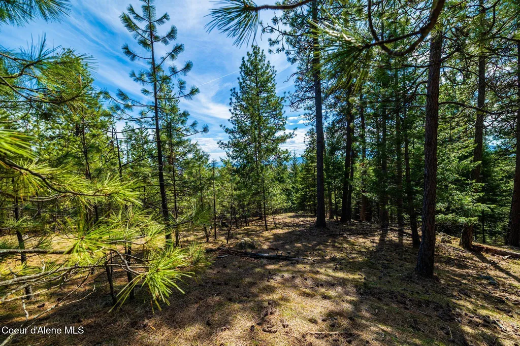 13168 N Clauson Trail Rathdrum ID 83858