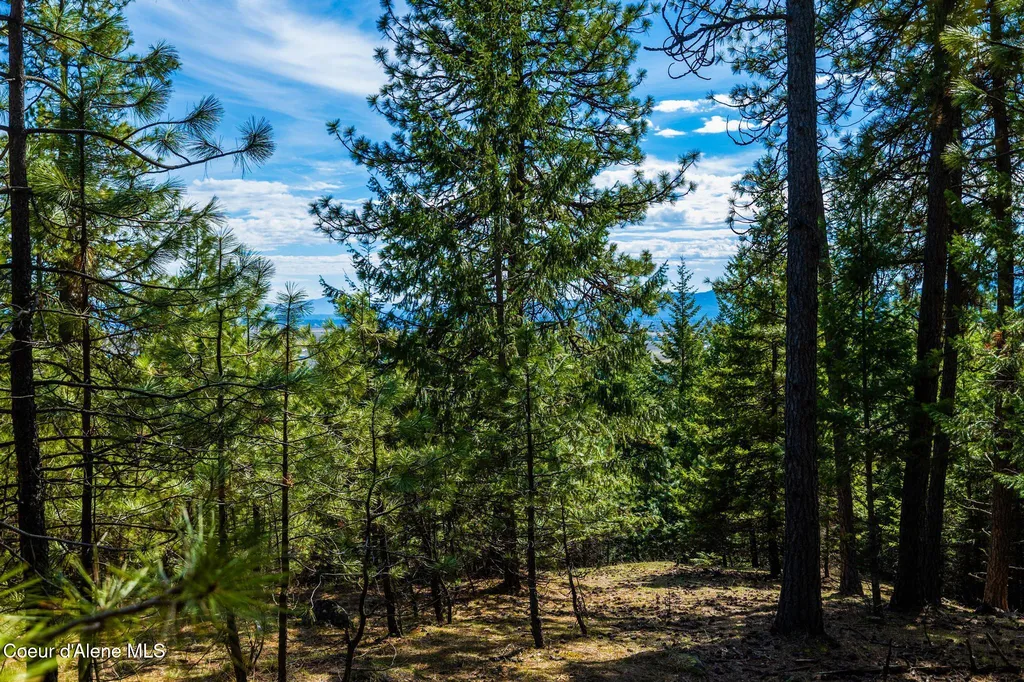 13168 N Clauson Trail Rathdrum ID 83858