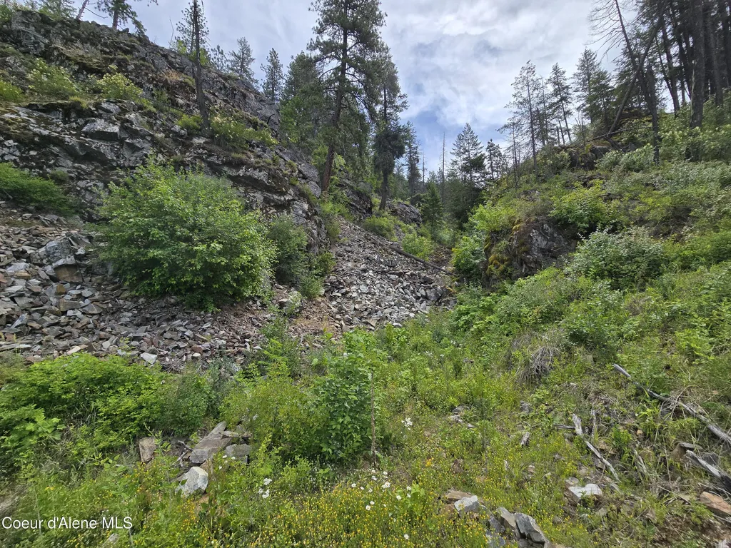 1935 Eagen Mountain Drive Hope ID 83836