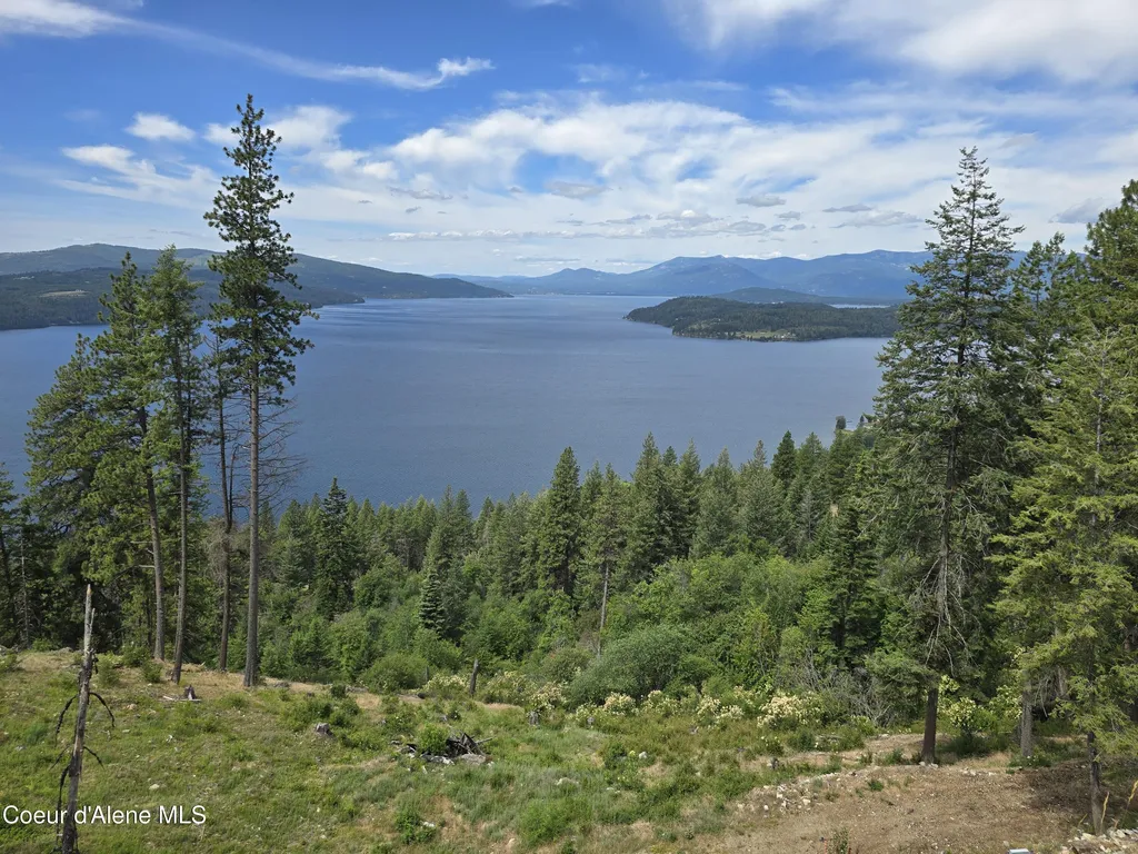 1935 Eagen Mountain Drive Hope ID 83836