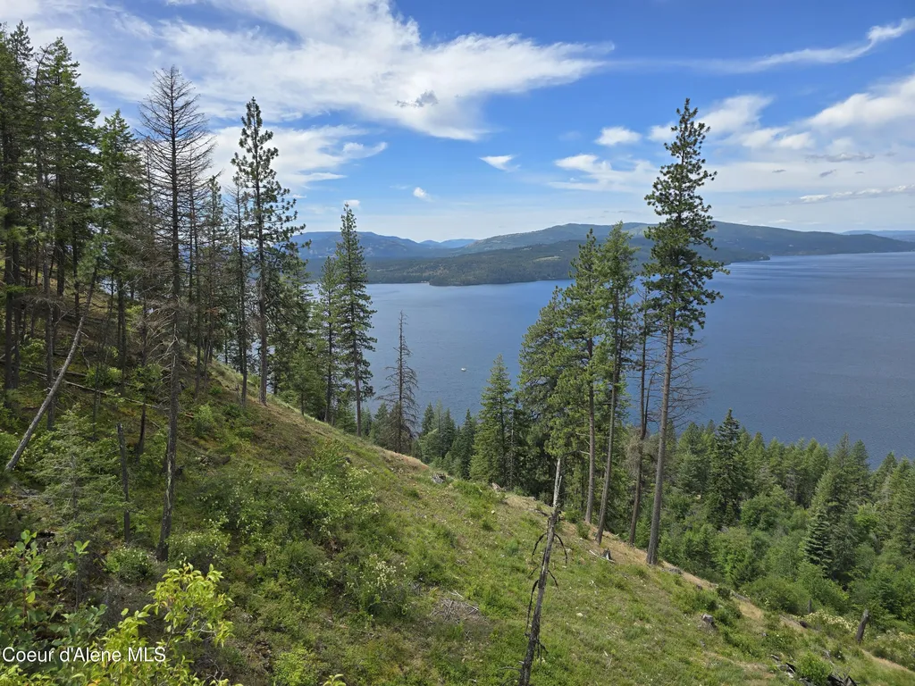 1935 Eagen Mountain Drive Hope ID 83836