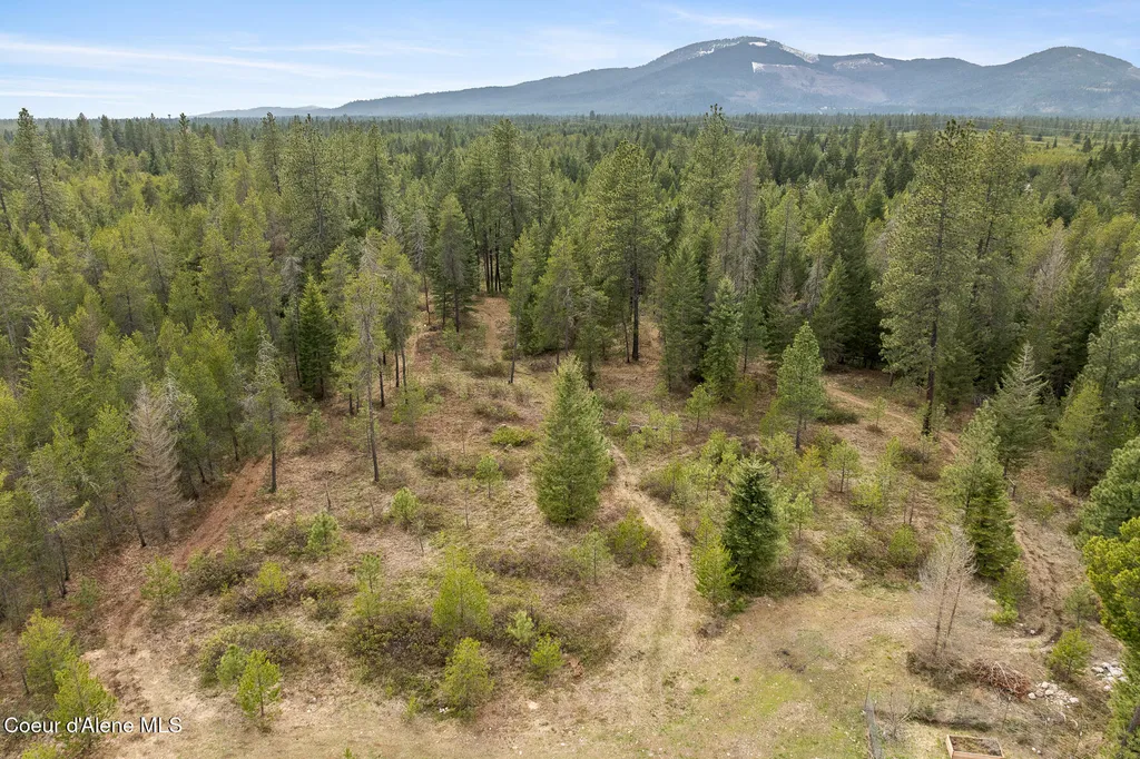 19133 N Ella Road Rathdrum ID 83858