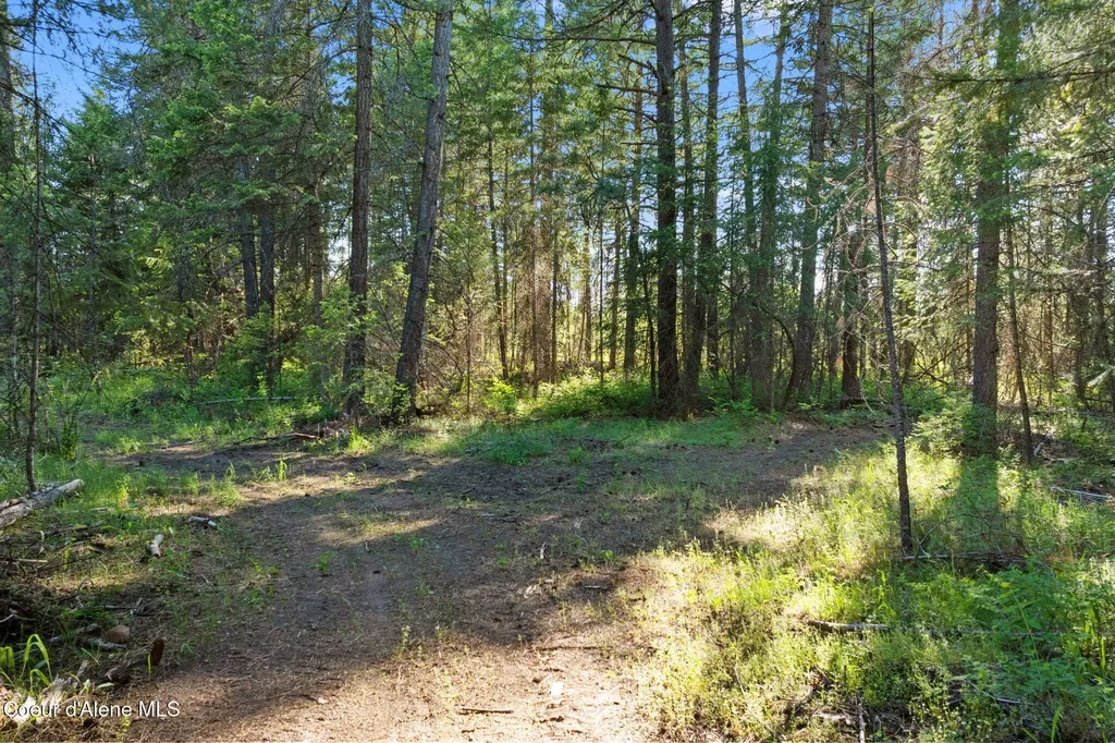 468 Cardinal Lane Spirit Lake ID 83869