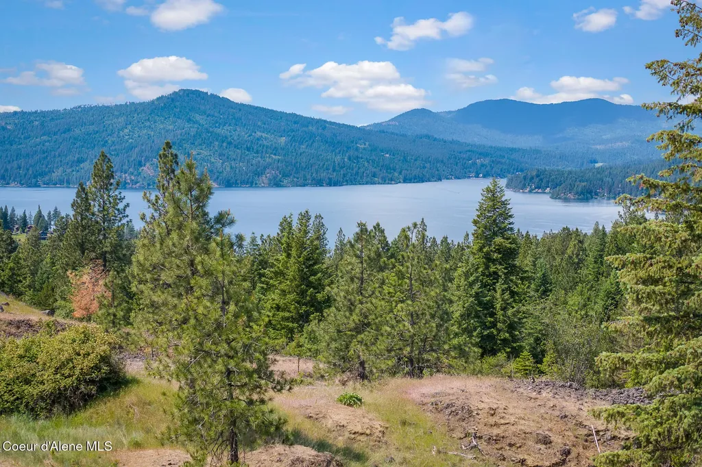 5895 S Grainger Court Harrison ID 83833
