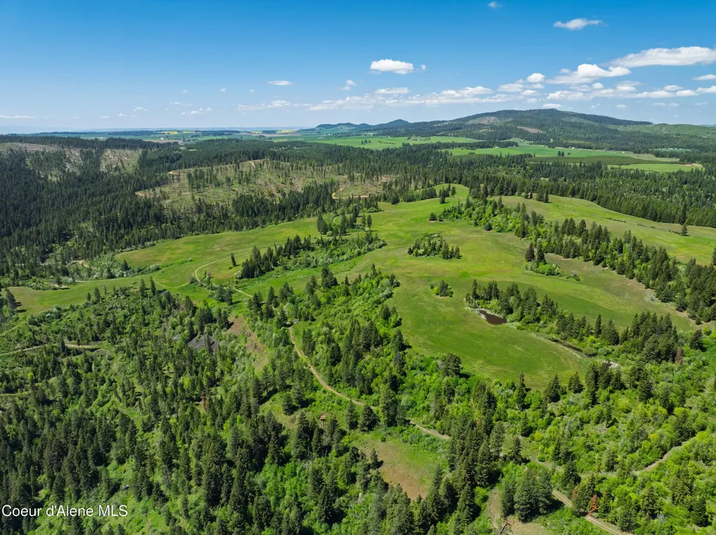 Nka 618acs Freeman Creek Road Lenore ID 83541