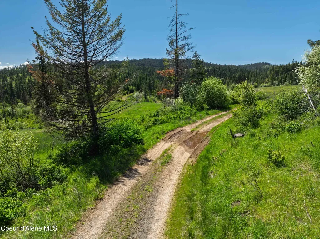 Nka 618acs Freeman Creek Road Lenore ID 83541