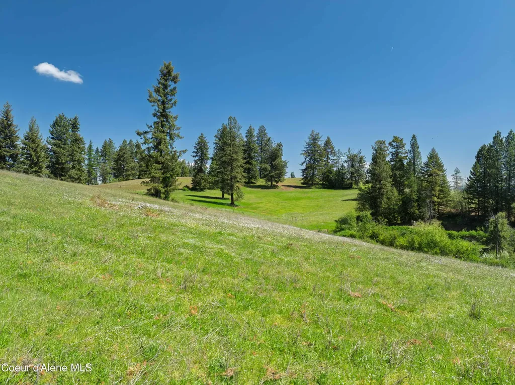 Nka 618acs Freeman Creek Road Lenore ID 83541
