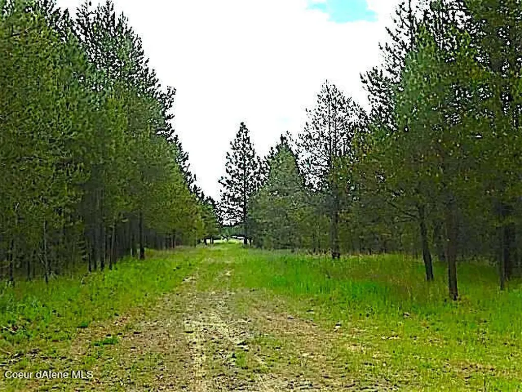 Nka Highway 95 Athol ID 83801