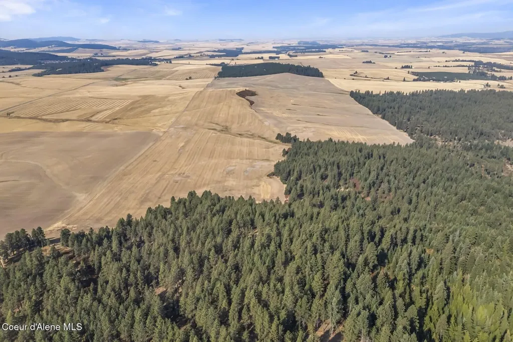 8597 W Rolling Hills Road Worley ID 83876