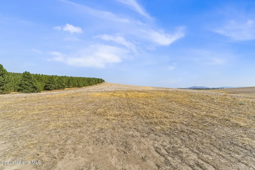8597 W Rolling Hills Road Worley ID 83876