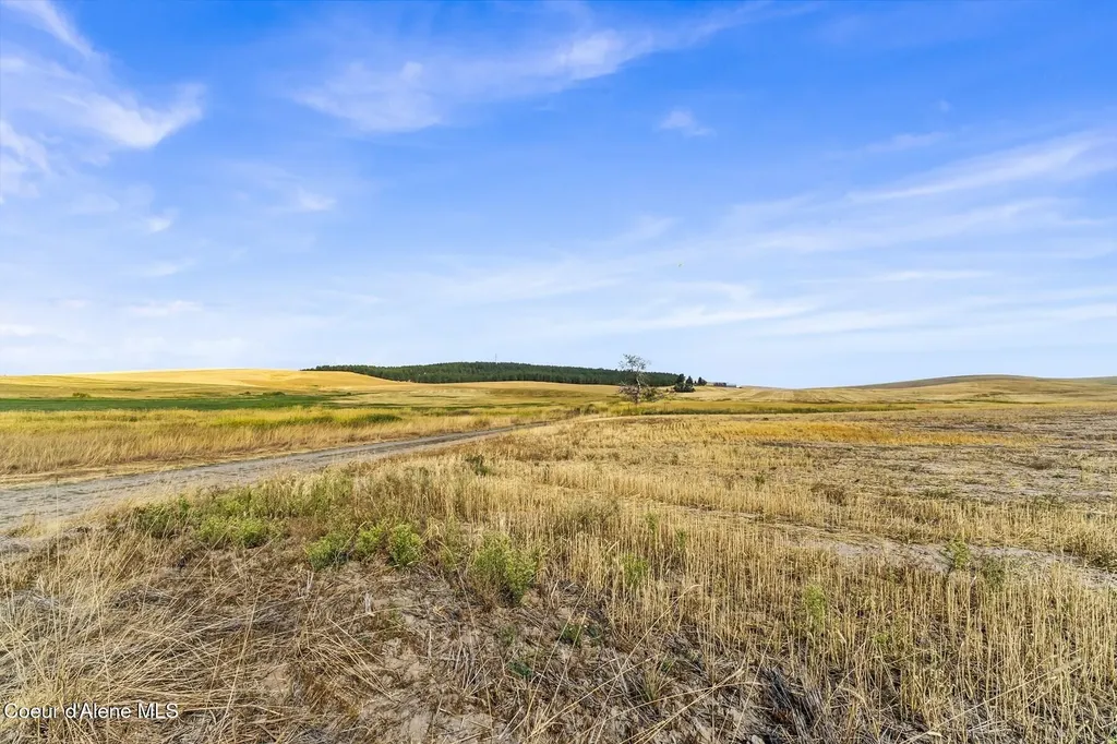 8597 W Rolling Hills Road Worley ID 83876