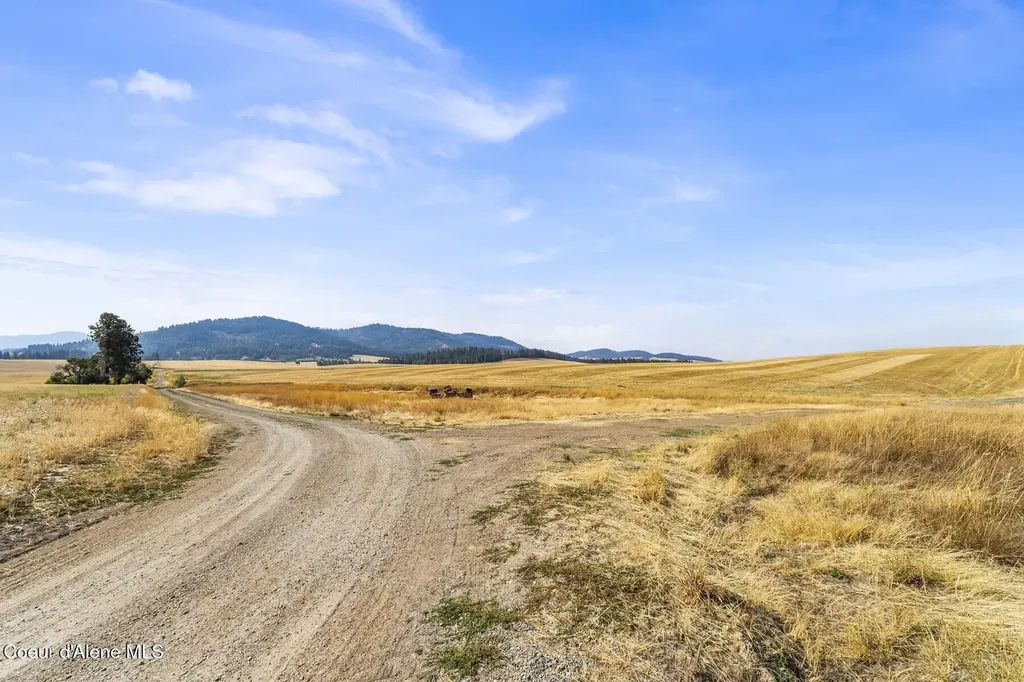 8597 W Rolling Hills Road Worley ID 83876