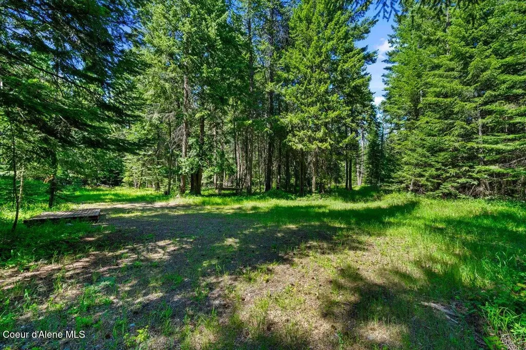 28801 N Lewellen Creek Road Athol ID 83801