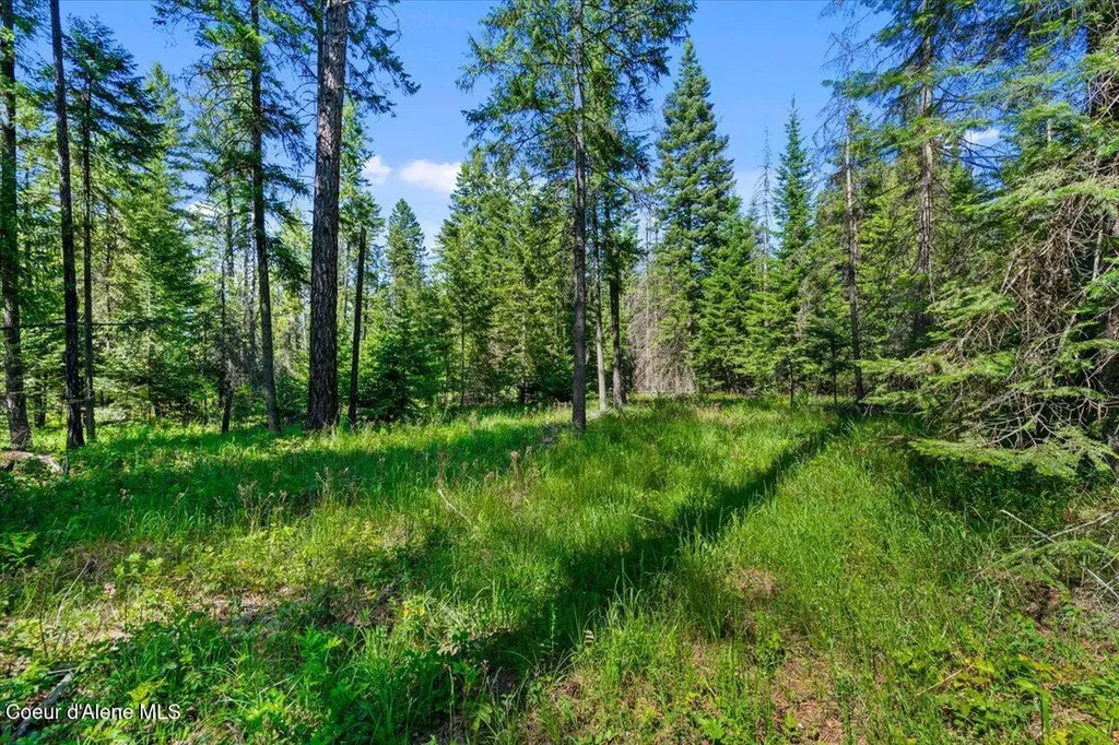 28801 N Lewellen Creek Road Athol ID 83801