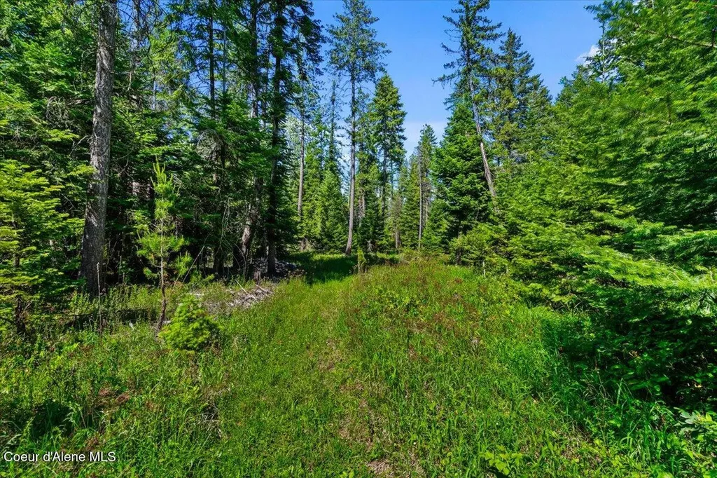28801 N Lewellen Creek Road Athol ID 83801
