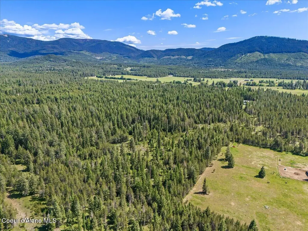 28801 N Lewellen Creek Road Athol ID 83801