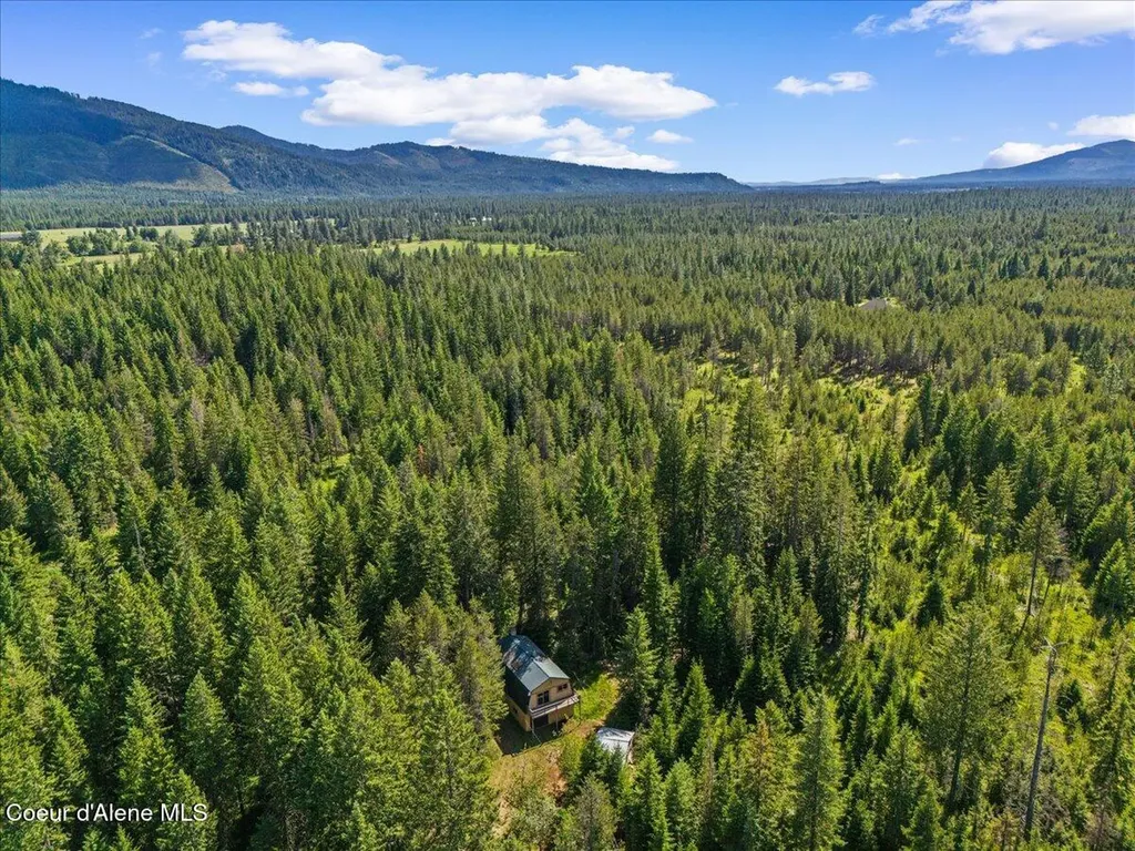 28801 N Lewellen Creek Road Athol ID 83801