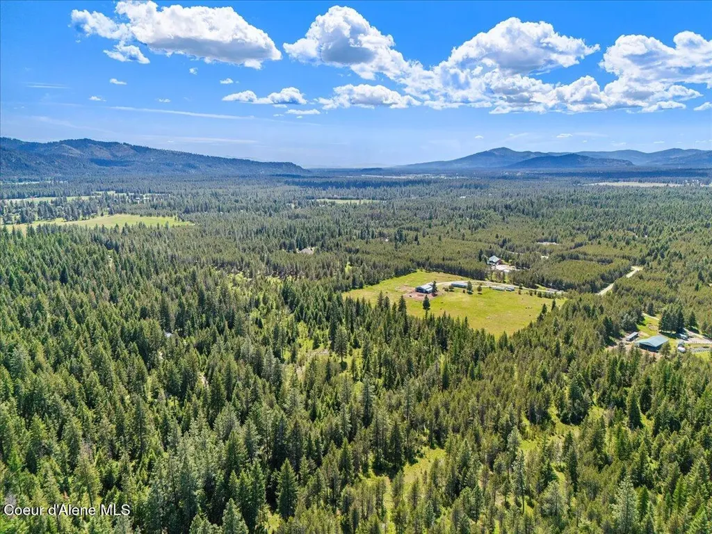 28801 N Lewellen Creek Road Athol ID 83801