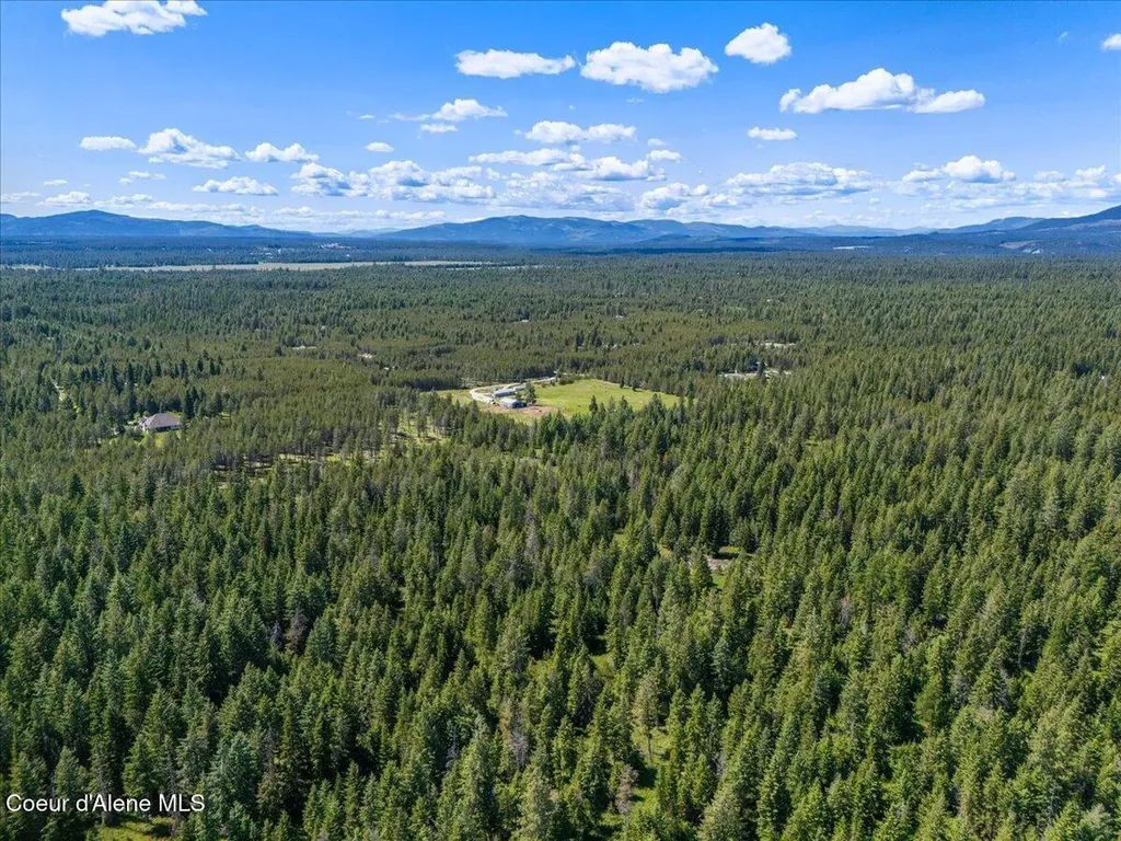28801 N Lewellen Creek Road Athol ID 83801