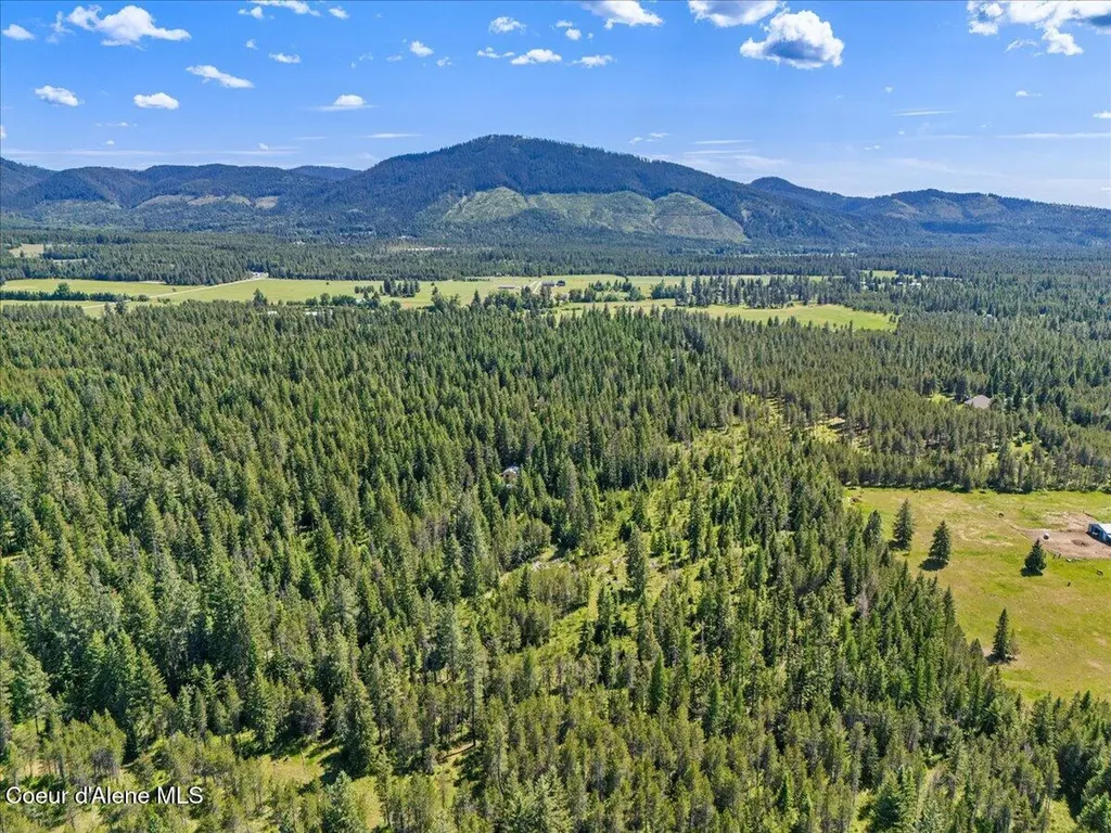 28801 N Lewellen Creek Road Athol ID 83801