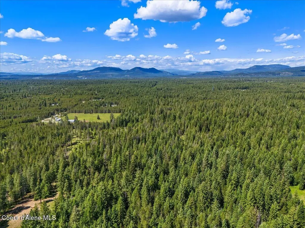 28801 N Lewellen Creek Road Athol ID 83801