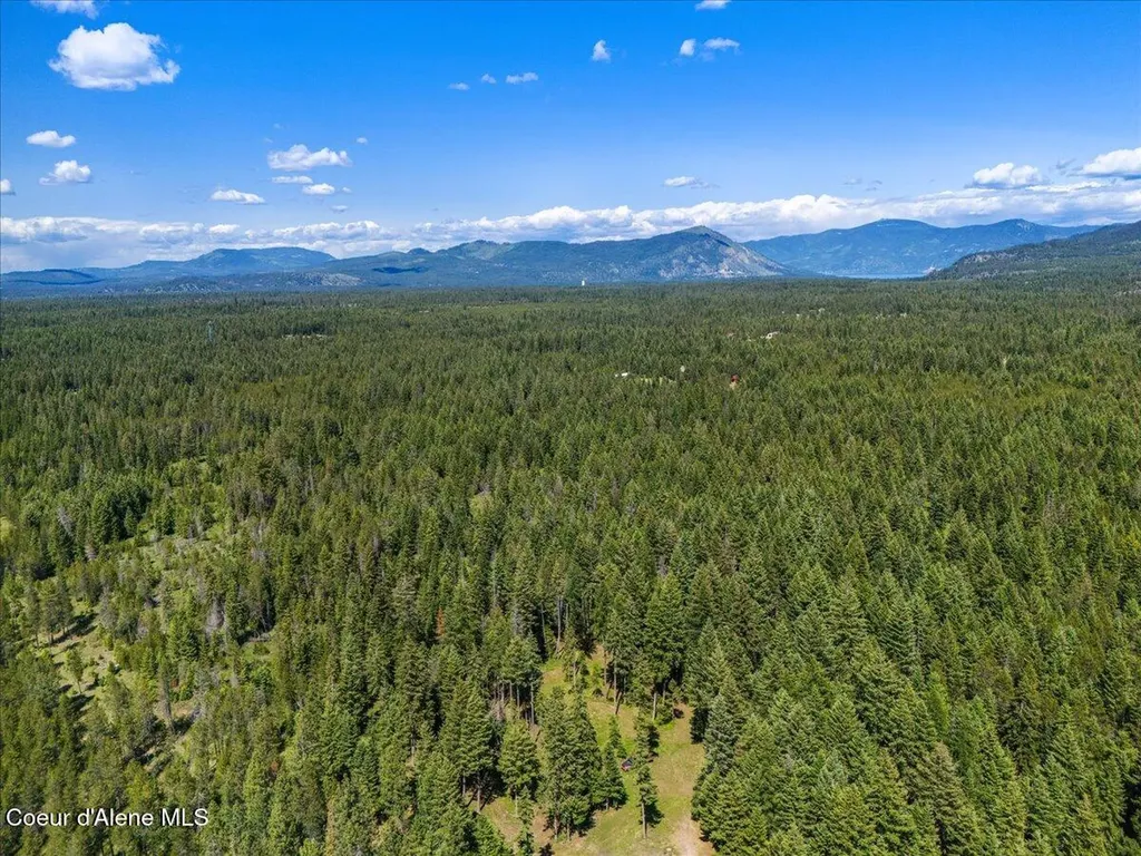 28801 N Lewellen Creek Road Athol ID 83801