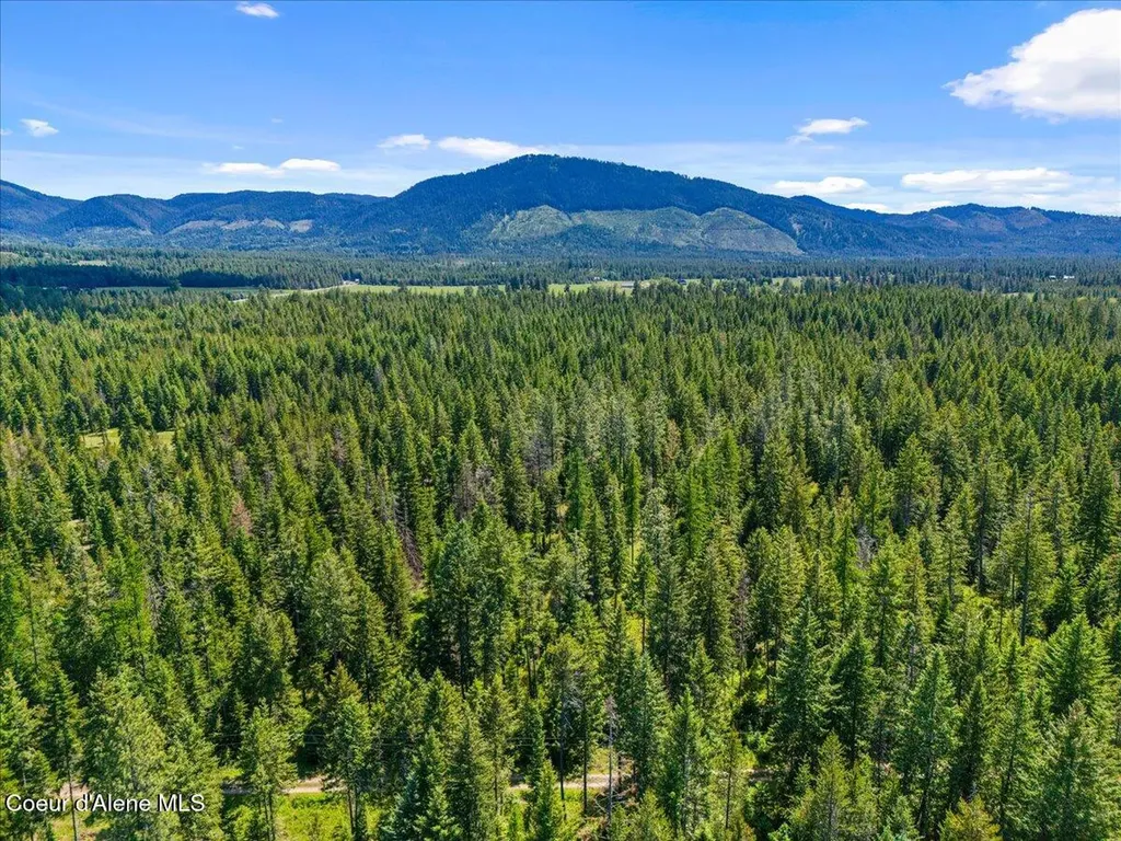 28801 N Lewellen Creek Road Athol ID 83801
